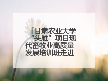 甘肃农业大学“头雁”项目现代畜牧业高质量发展培训班走进榆林榆阳区