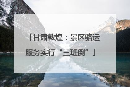甘肃敦煌：景区骆运服务实行“三班倒”