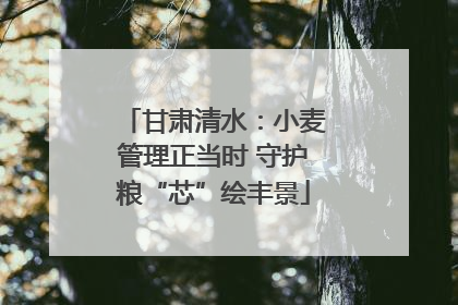 甘肃清水：小麦管理正当时 守护粮“芯”绘丰景