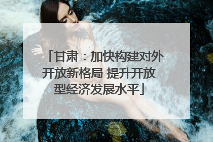甘肃：加快构建对外开放新格局 提升开放型经济发展水平