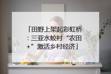 田野上架起彩虹桥：三亚水蛟村“农田+”激活乡村经济
