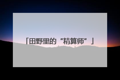 田野里的“精算师”