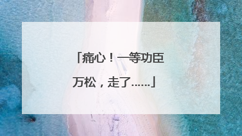 痛心！一等功臣万松，走了……