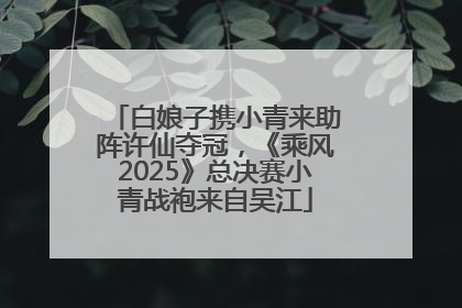 白娘子携小青来助阵许仙夺冠，《乘风2025》总决赛小青战袍来自吴江
