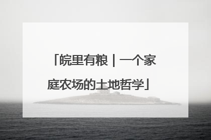 皖里有粮｜一个家庭农场的土地哲学