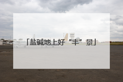 盐碱地上好“丰”景