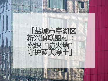 盐城市亭湖区新兴镇联盟村：密织“防火墙”守护蓝天净土