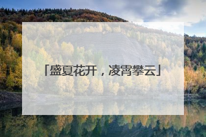 盛夏花开，凌霄攀云