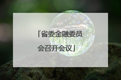 省委金融委员会召开会议