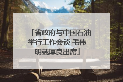 省政府与中国石油举行工作会谈 毛伟明戴厚良出席