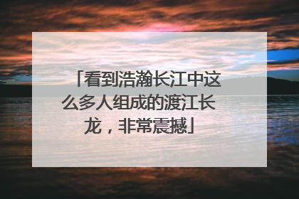 看到浩瀚长江中这么多人组成的渡江长龙，非常震撼