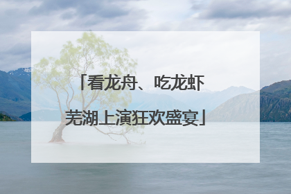 看龙舟、吃龙虾 芜湖上演狂欢盛宴
