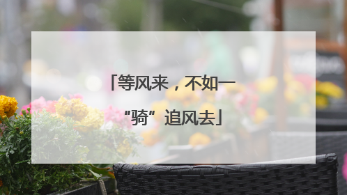 等风来，不如一“骑”追风去