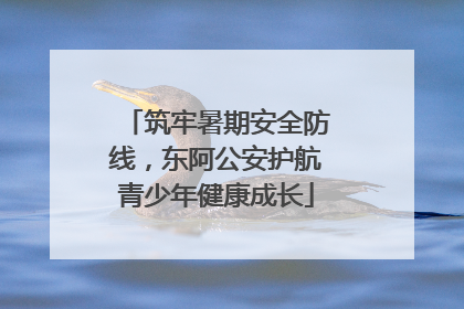 筑牢暑期安全防线，东阿公安护航青少年健康成长