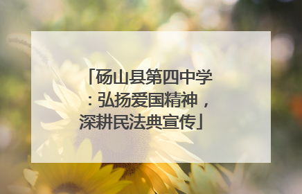 砀山县第四中学：弘扬爱国精神，深耕民法典宣传