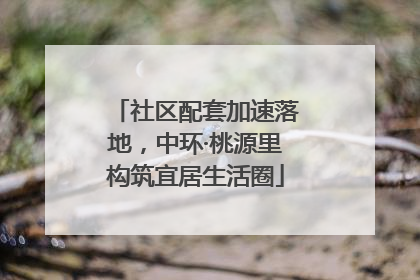 社区配套加速落地，中环·桃源里构筑宜居生活圈