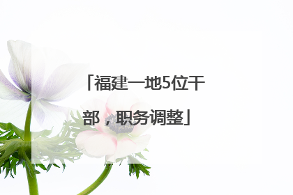 福建一地5位干部，职务调整