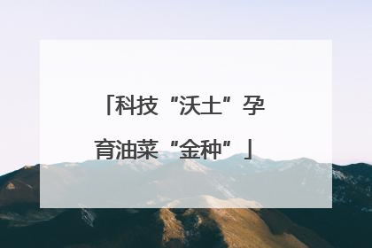 科技“沃土”孕育油菜“金种”