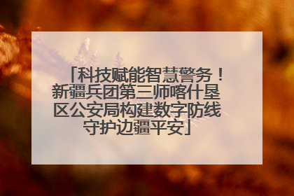 科技赋能智慧警务！新疆兵团第三师喀什垦区公安局构建数字防线守护边疆平安