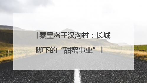 秦皇岛王汉沟村：长城脚下的“甜蜜事业”