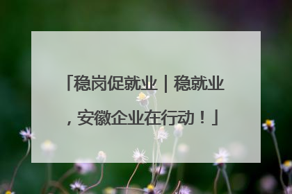 稳岗促就业｜稳就业，安徽企业在行动！