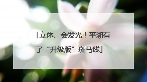 立体、会发光！平湖有了“升级版”斑马线