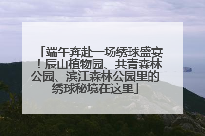 端午奔赴一场绣球盛宴！辰山植物园、共青森林公园、滨江森林公园里的绣球秘境在这里
