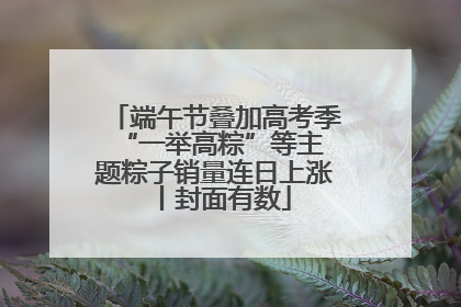端午节叠加高考季 “一举高粽”等主题粽子销量连日上涨丨封面有数
