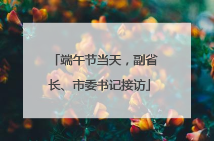 端午节当天，副省长、市委书记接访