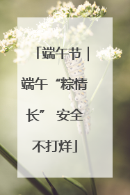 端午节｜端午“粽情长” 安全不打烊