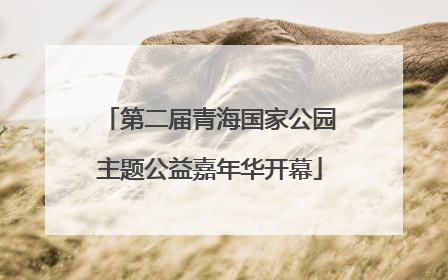 第二届青海国家公园主题公益嘉年华开幕