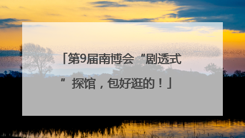第9届南博会“剧透式”探馆，包好逛的！