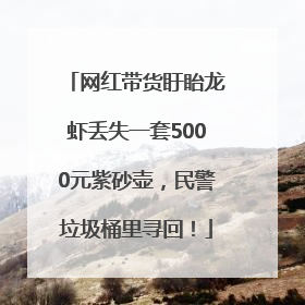 网红带货盱眙龙虾丢失一套5000元紫砂壶，民警垃圾桶里寻回！