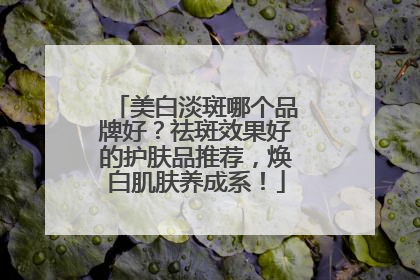 美白淡斑哪个品牌好？祛斑效果好的护肤品推荐，焕白肌肤养成系！