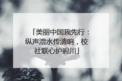 美丽中国我先行：纵声澧水传清响，校社联心护碧川