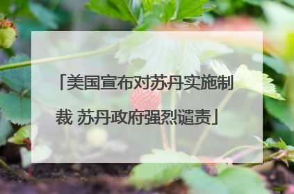 美国宣布对苏丹实施制裁 苏丹政府强烈谴责