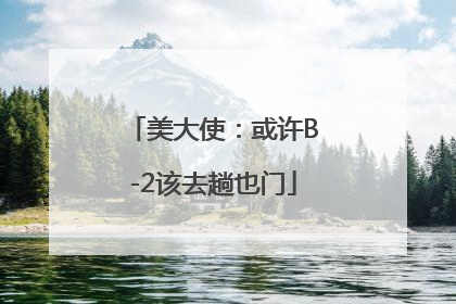 美大使：或许B-2该去趟也门