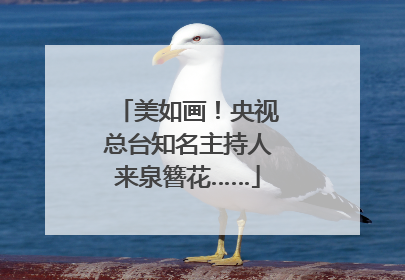 美如画！央视总台知名主持人来泉簪花……
