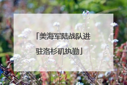 美海军陆战队进驻洛杉矶执勤