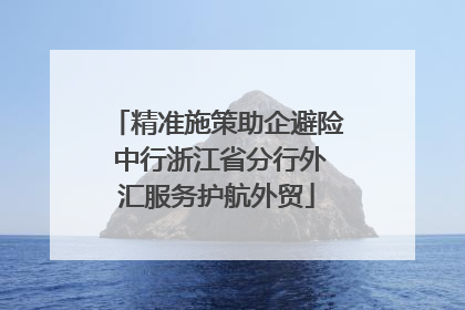 精准施策助企避险 中行浙江省分行外汇服务护航外贸