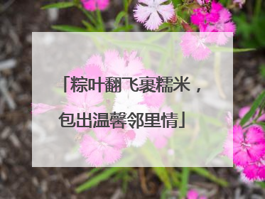 粽叶翻飞裹糯米，包出温馨邻里情