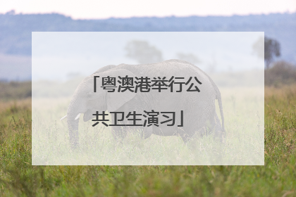 粤澳港举行公共卫生演习