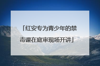 红安专为青少年的禁毒课在庭审现场开讲