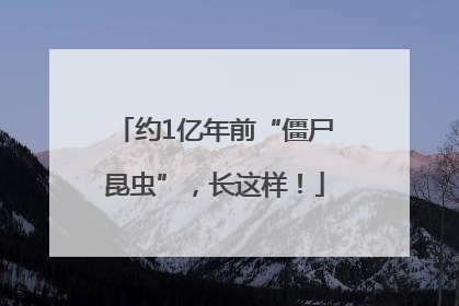 约1亿年前“僵尸昆虫”，长这样！