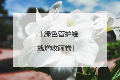 绿色管护绘就增收画卷