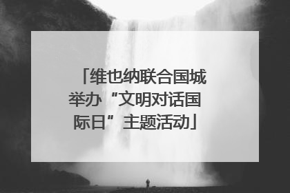 维也纳联合国城举办“文明对话国际日”主题活动