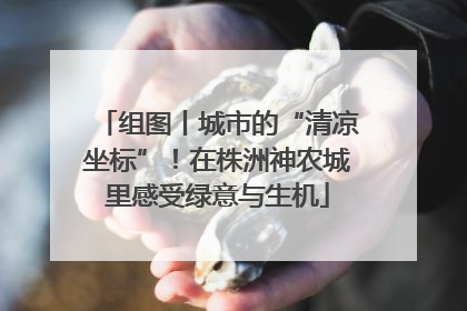 组图丨城市的“清凉坐标”！在株洲神农城里感受绿意与生机