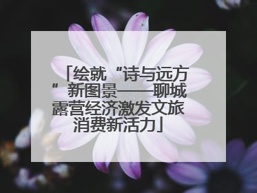 绘就“诗与远方”新图景——聊城露营经济激发文旅消费新活力