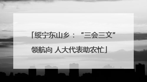 绥宁东山乡：“三会三文”领航向 人大代表助农忙