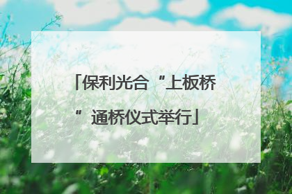 保利光合“上板桥”通桥仪式举行
